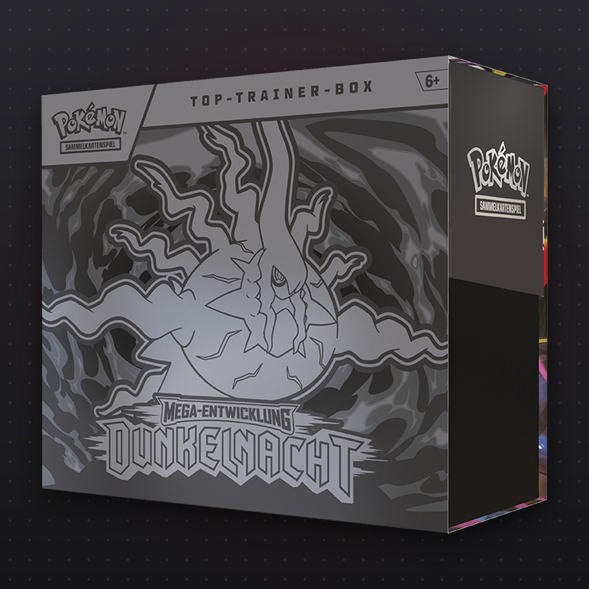 Dunkelnacht Top-Trainer-Box